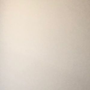 Meet your Posher, Aisha